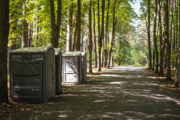Best Sanitation services for porta potties  in Hinton, WV